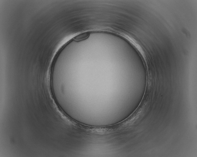 X0000116551053200912241551