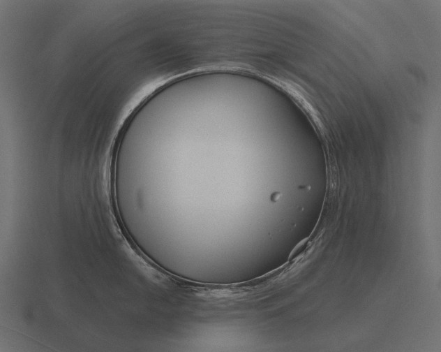 X0000116551054200912241551