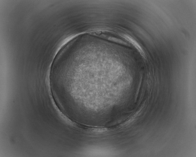 X0000116551055200912241551