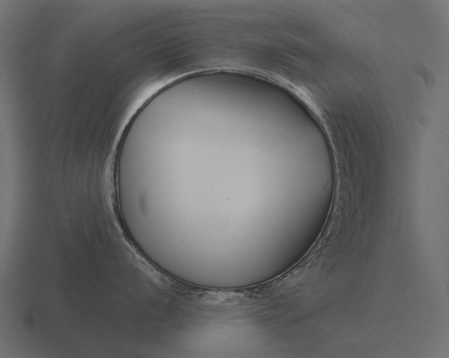 X0000116551056200912241551