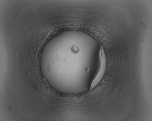 X0000116551057200912241551