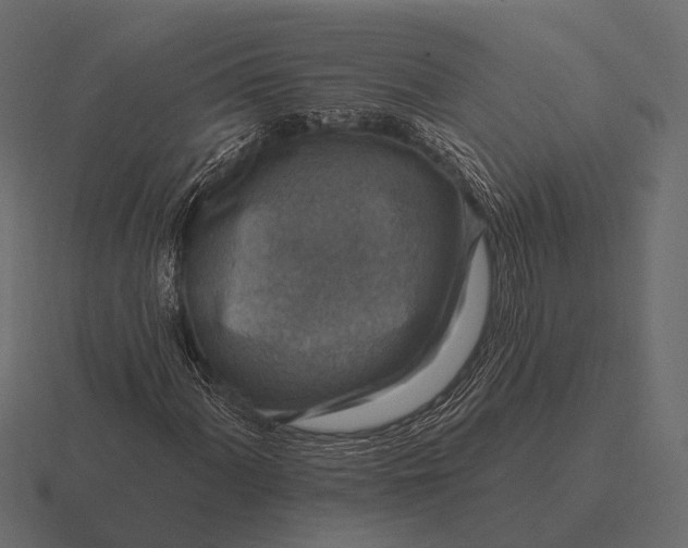 X0000116551060200912241551