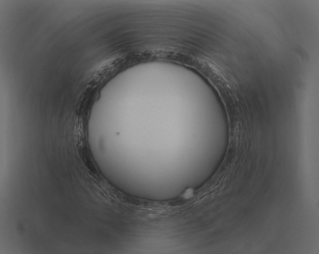 X0000116551062200912241551