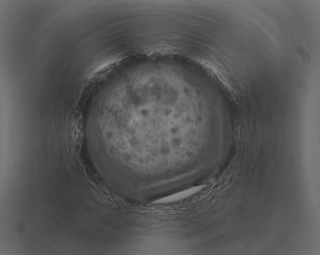 X0000116551063200912241551