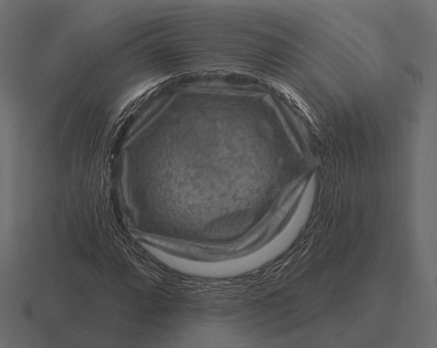 X0000116551064200912241551