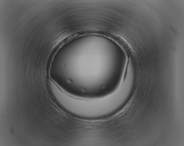 X0000116551065200912241551