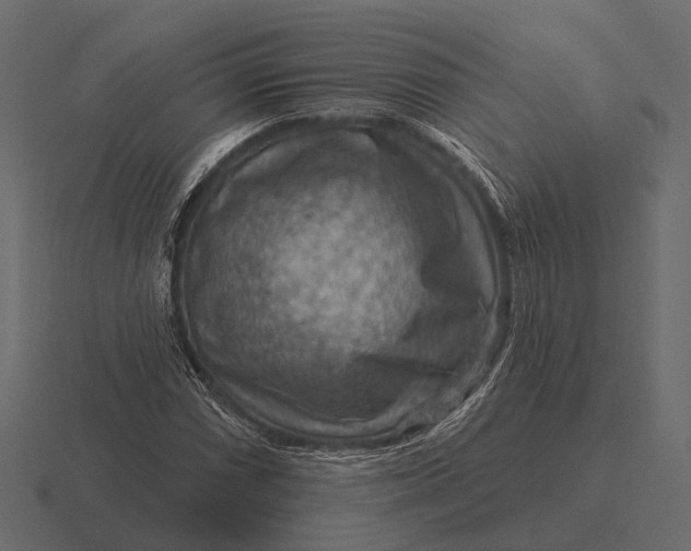 X0000116551066200912241551