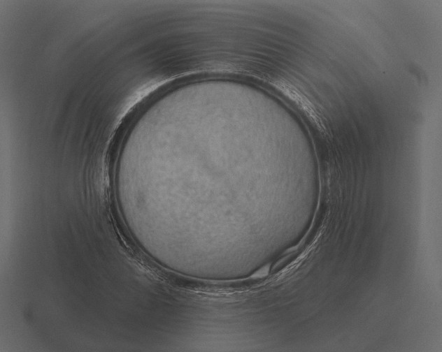 X0000116551070200912241551