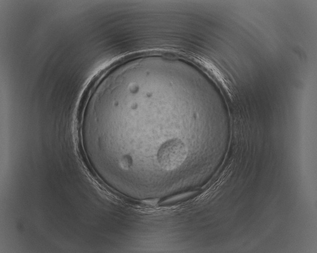 X0000116551072200912241551