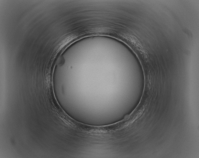 X0000116551073200912241551