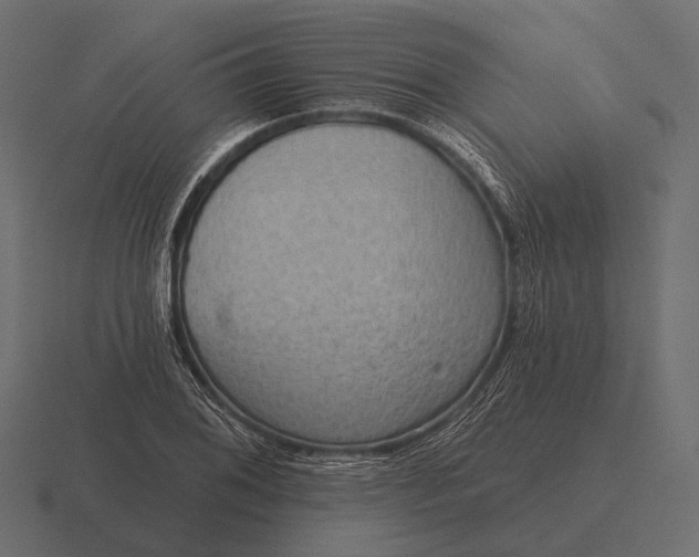 X0000116551076200912241551