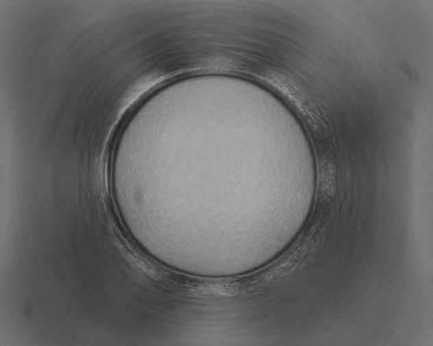 X0000116551078200912241551