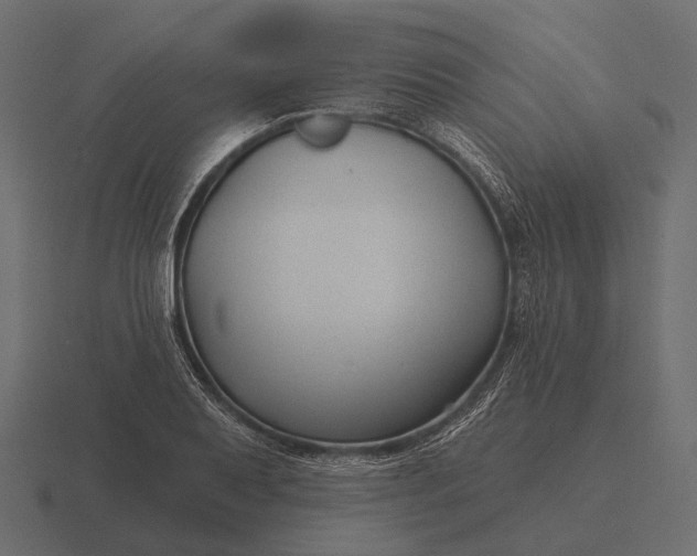 X0000116551079200912241551