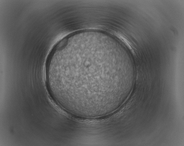 X0000116551080200912241551