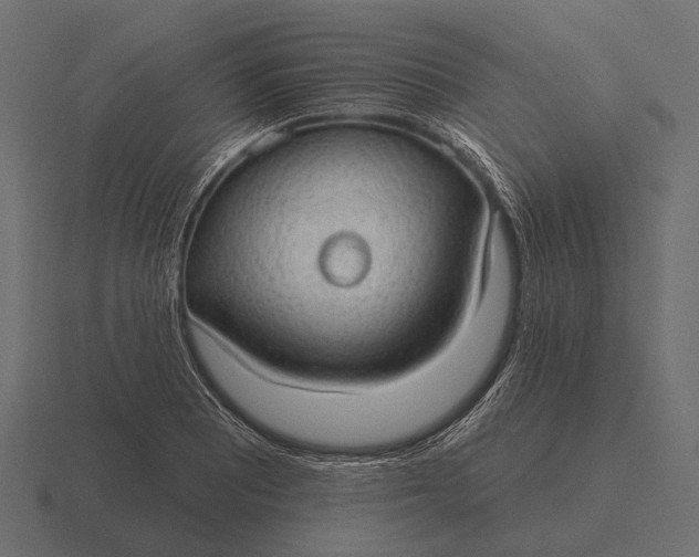 X0000116551081200912241551