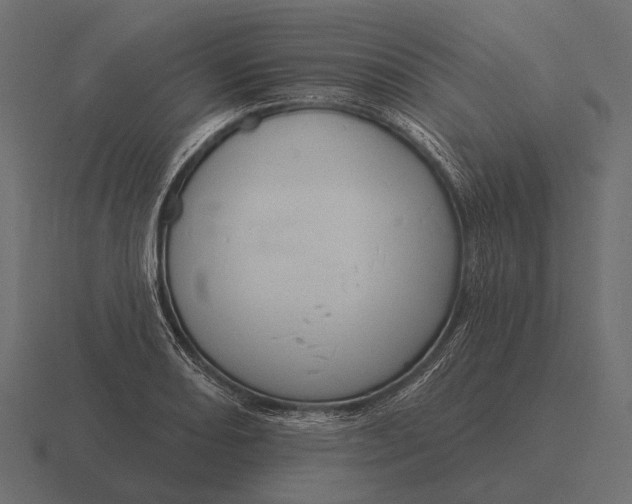 X0000116551082200912241551