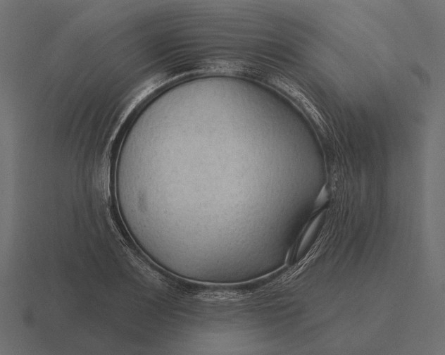 X0000116551083200912241551