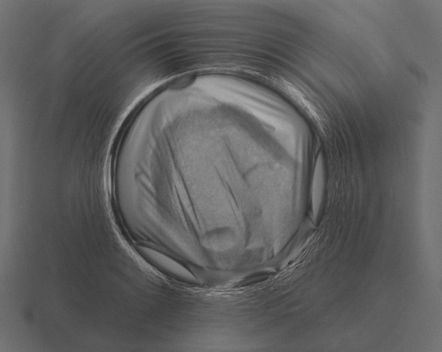 X0000116551084200912241551