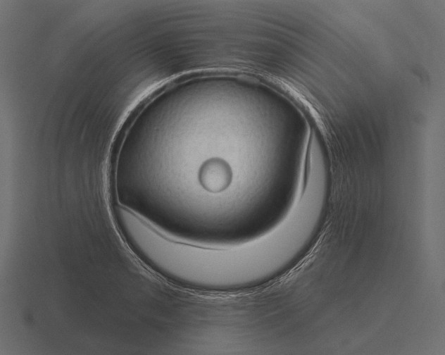 X0000116551085200912241551