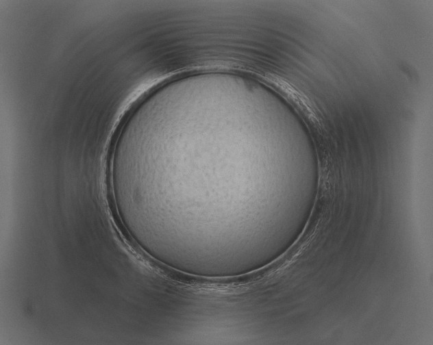 X0000116551086200912241551