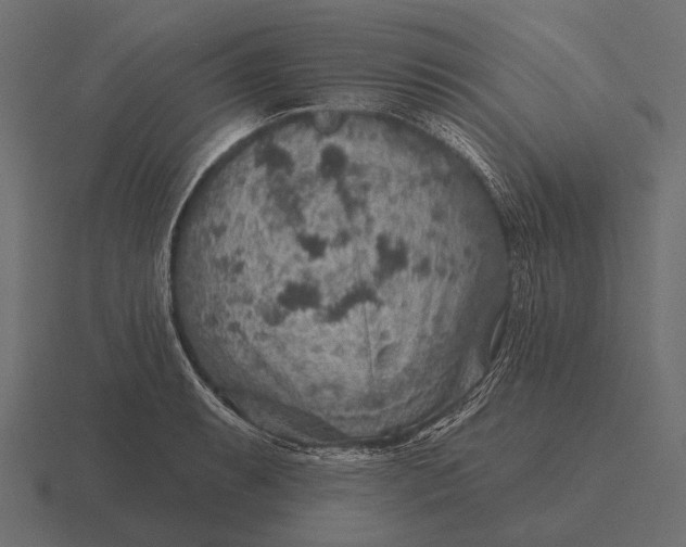 X0000116551087200912241551