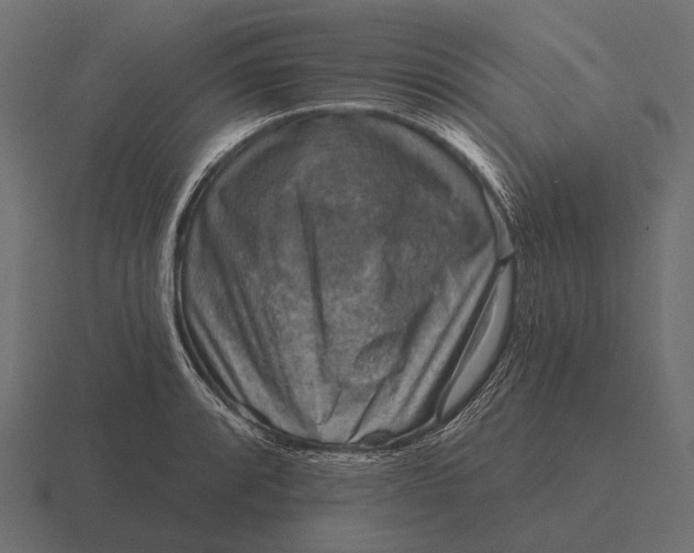 X0000116551088200912241551