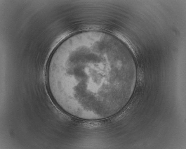 X0000116551090200912241550