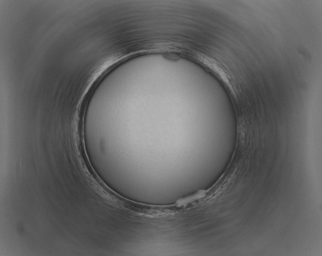 X0000116551091200912241550