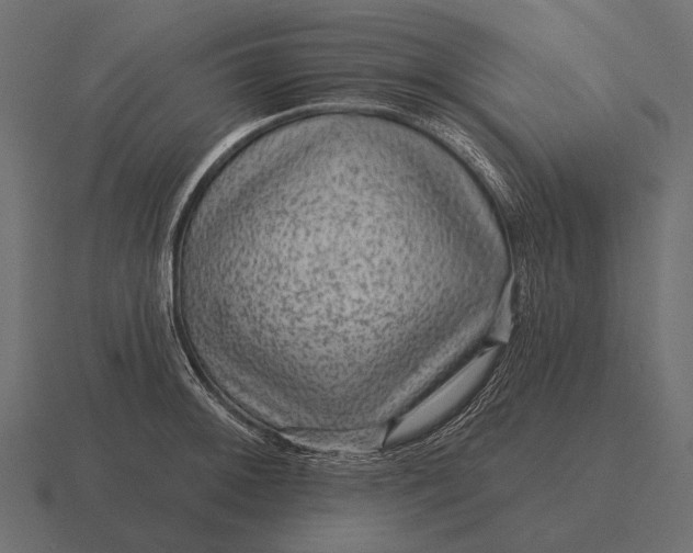 X0000116551092200912241550