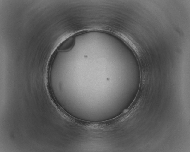 X0000116551093200912241550