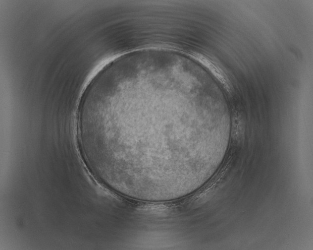 X0000116551094200912241550