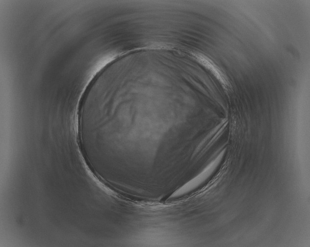 X0000116551095200912241550