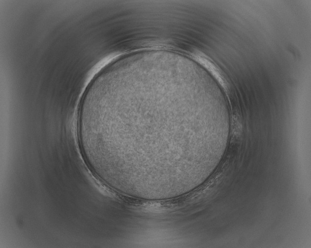 X0000116551098200912241550