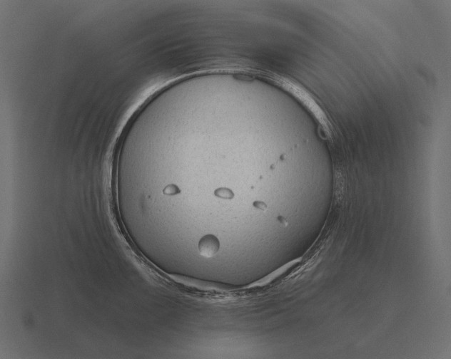 X0000116551099200912241550