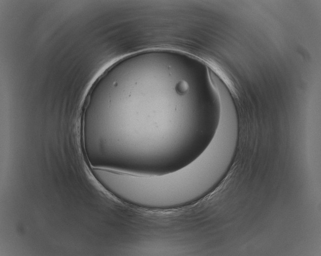 X0000116551100200912241550