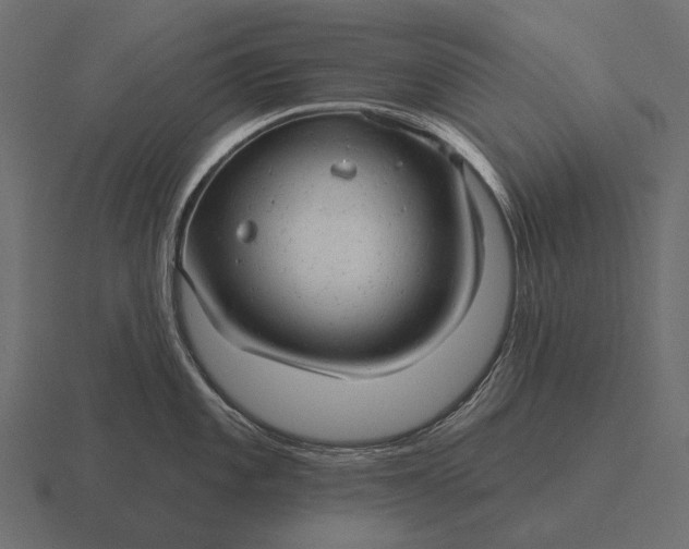 X0000116551101200912241550