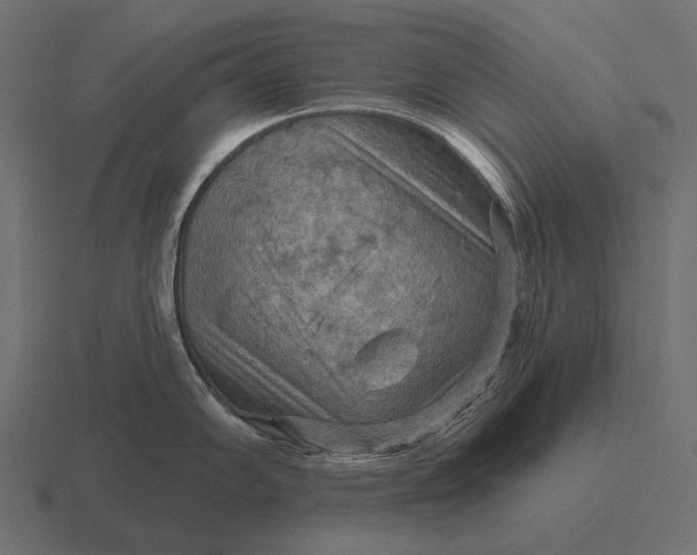 X0000116551102200912241550