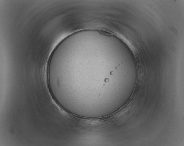 X0000116551103200912241550