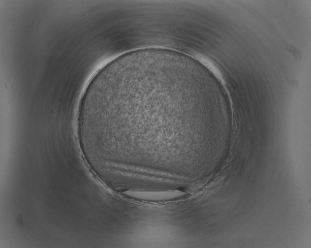 X0000116551104200912241550