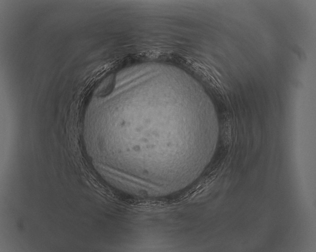 X0000116551105200912241550