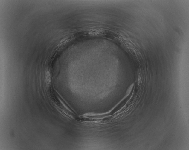 X0000116551106200912241550