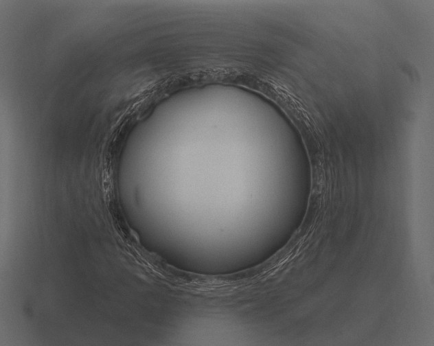 X0000116551109200912241550