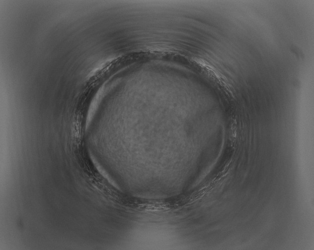 X0000116551110200912241550