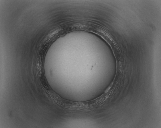 X0000116551111200912241550