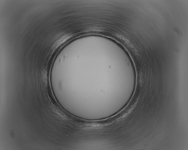 X0000116551113200912241550