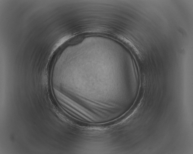 X0000116551114200912241550