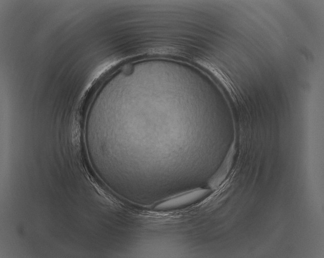 X0000116551115200912241550