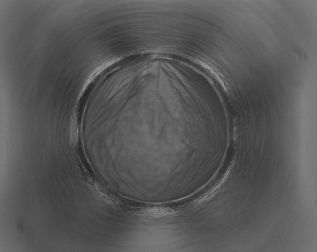 X0000116551117200912241550