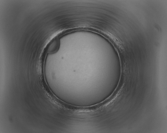 X0000116551118200912241550