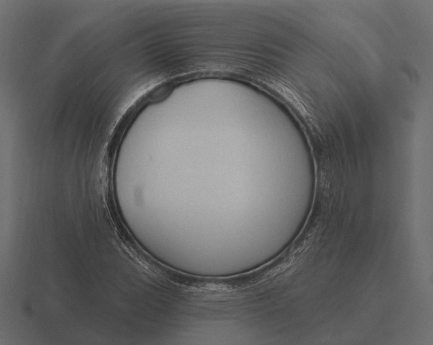 X0000116551119200912241550